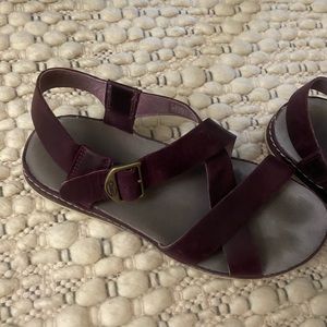 Chaco Wayfarer Sandal